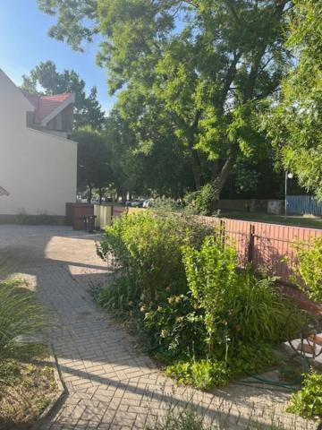Dyta2 Apartman Hajduszoboszlo Exterior foto